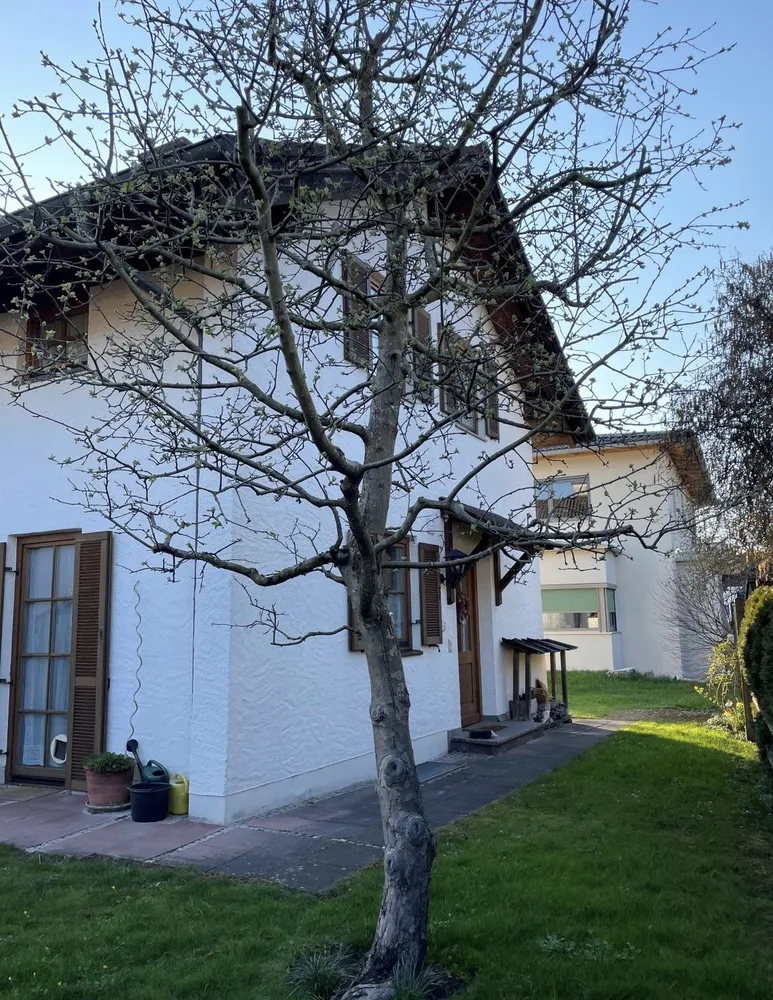 5 Zimmer Haus mit 140 m² in Rosenheim – Bild 11