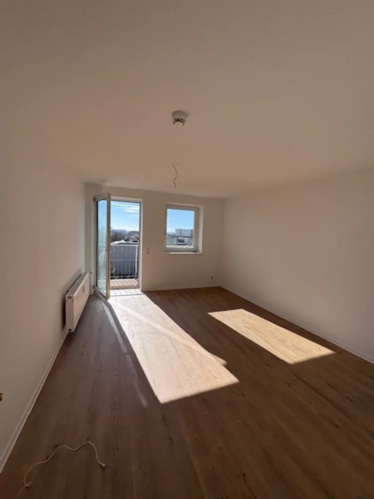 1 Zimmer Wohnung mit 100 m² in Magdeburg – Bild 3