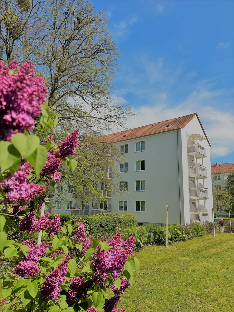 3 Zimmer Wohnung mit 60 m² in Wurzen – Bild 11