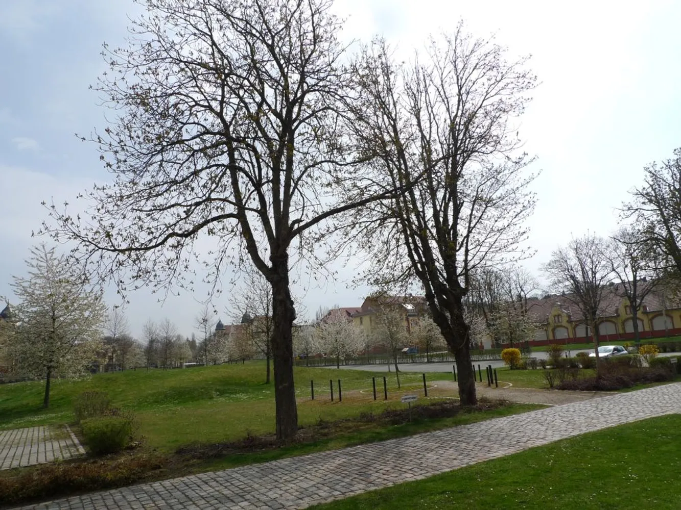 1 Zimmer Wohnung mit 46 m² in Gera – Bild 6