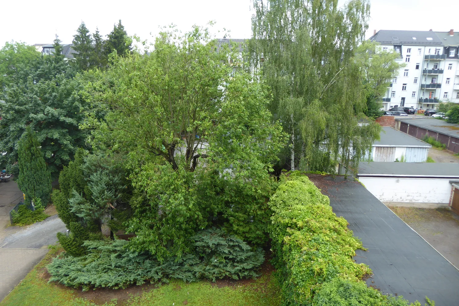 3 room apartment with 66 m² in Chemnitz – Photo 9