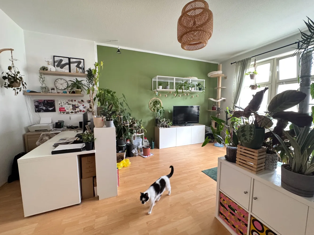 3 room apartment with 111 m² in Magdeburg – Photo 2