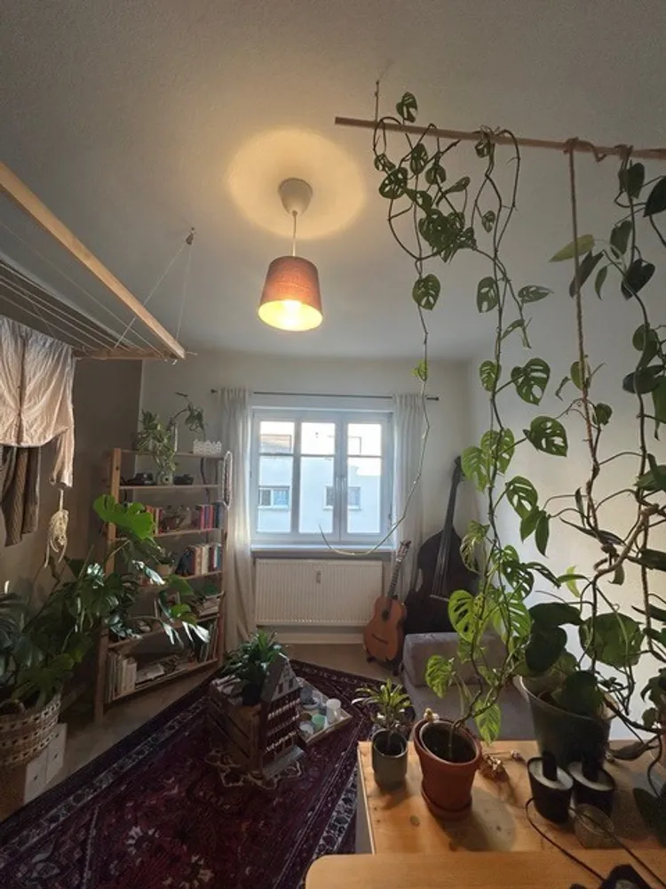 2 Zimmer Wohnung mit 52 m² in Mannheim – Bild 1