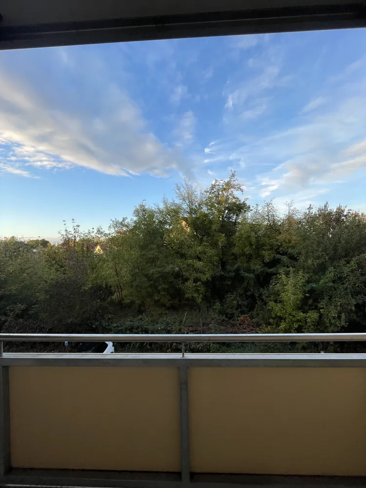 4 room apartment with 81 m² in Magdeburg – Photo 4