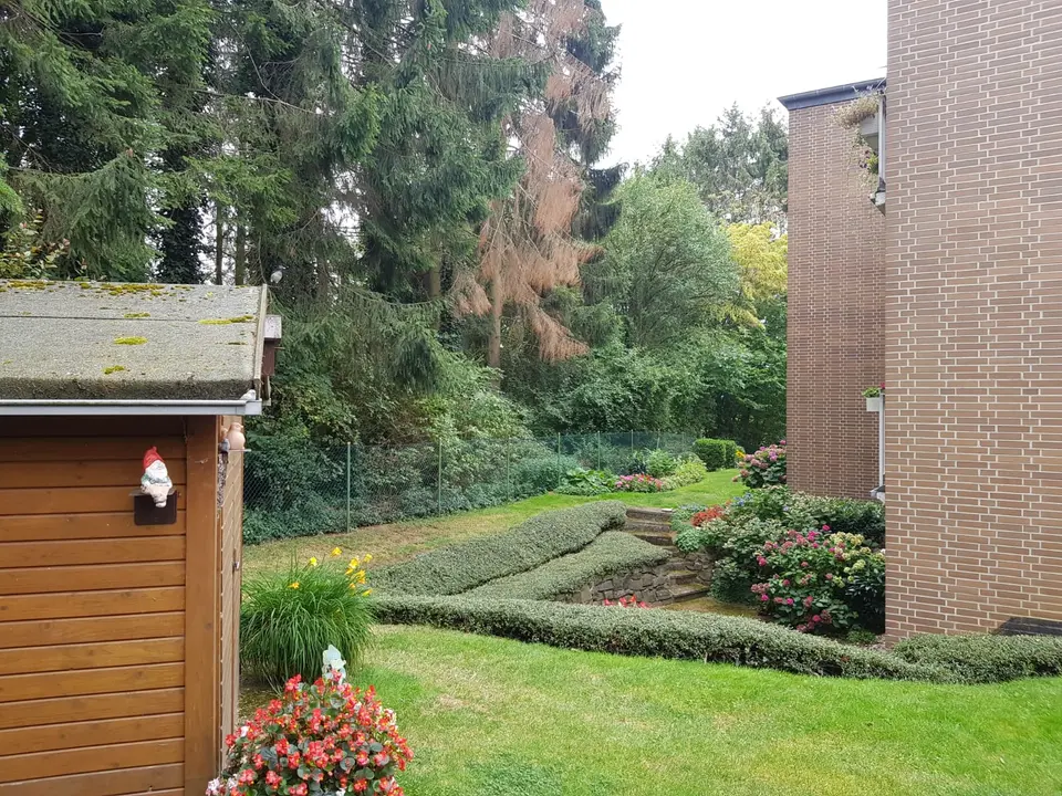 2 Zimmer Wohnung mit 56 m² in Seesen – Bild 5