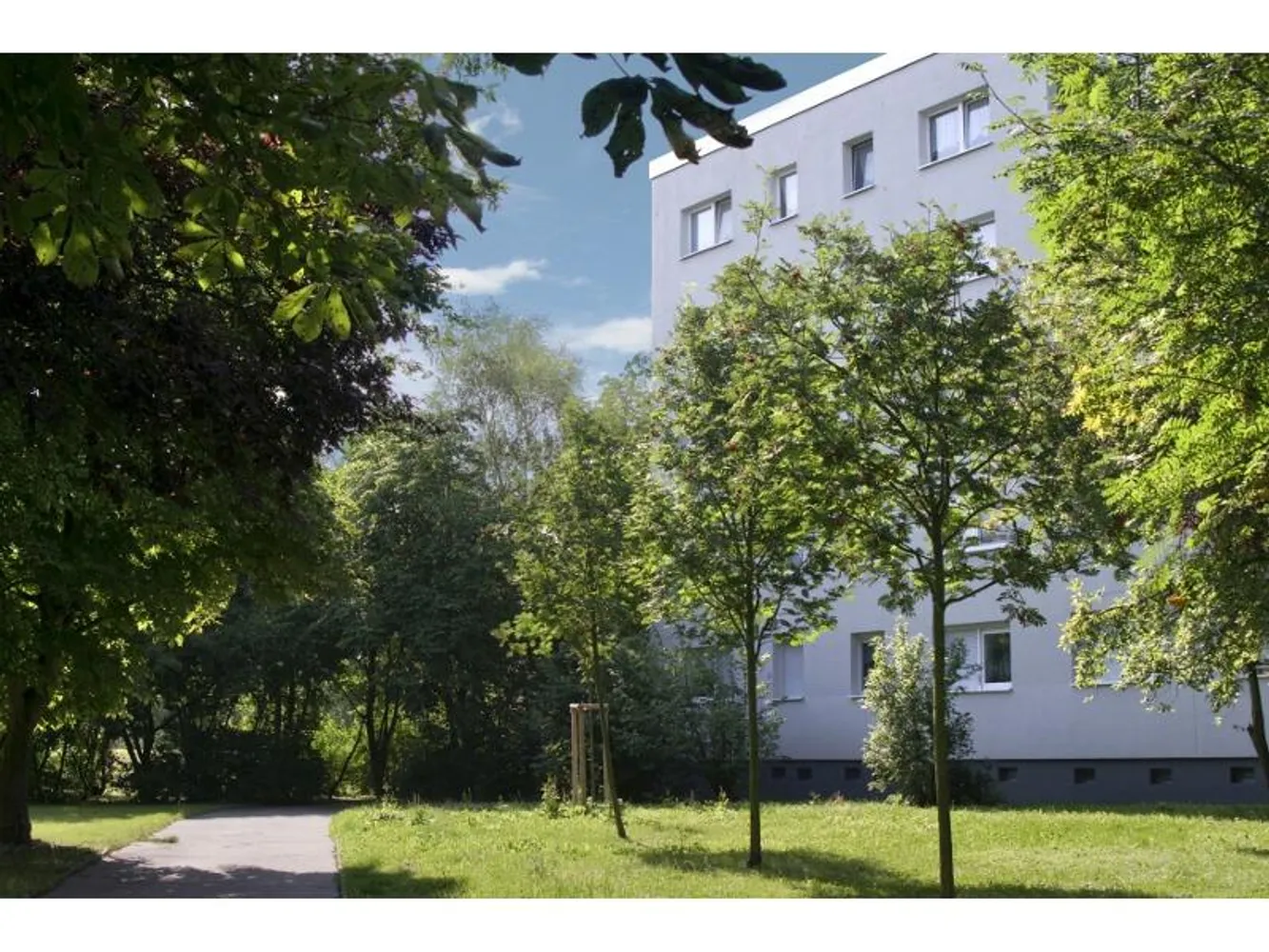 3 Zimmer Wohnung mit 56 m² in Halle (Saale) – Bild 2
