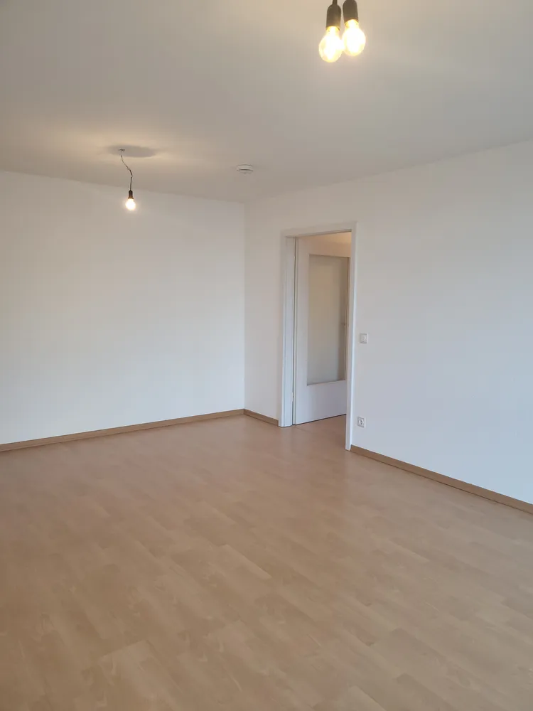 3 Zimmer Wohnung mit 66 m² in Dresden – Bild 10