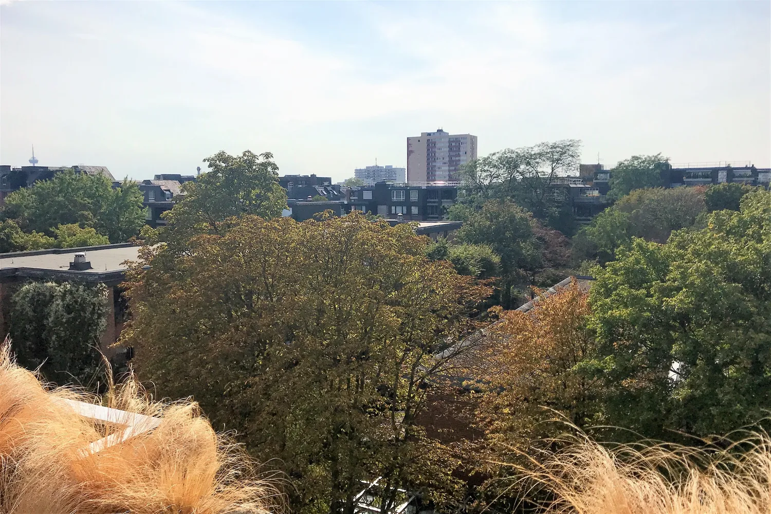 3 Zimmer Wohnung mit 105 m² in Köln – Bild 3