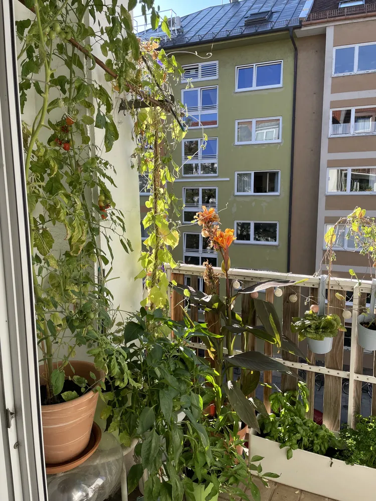 2 Zimmer Wohnung mit 56 m² in München – Bild 4