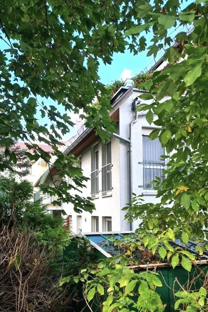 2 Zimmer Wohnung mit 69 m² in Chemnitz – Bild 1