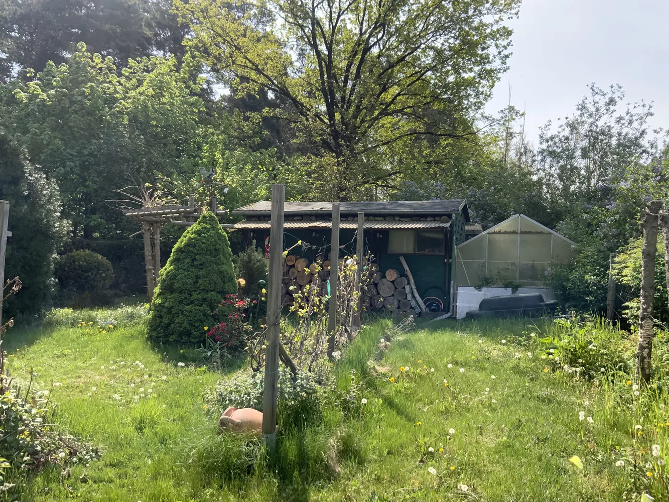 3 Zimmer Haus mit 100 m² in Wittenberg – Bild 8