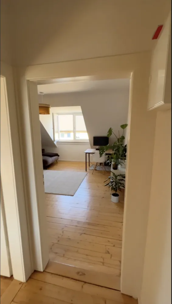 2 Zimmer Wohnung mit 60 m² in Karlsruhe – Bild 4