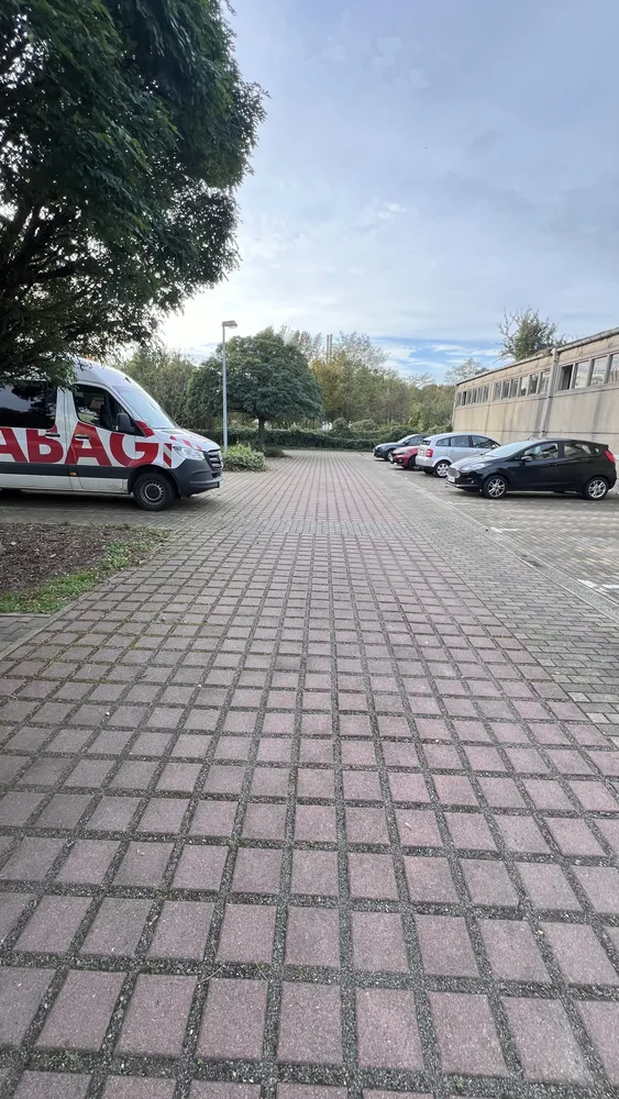 2 room apartment with 62 m² in Eilenburg – Photo 11
