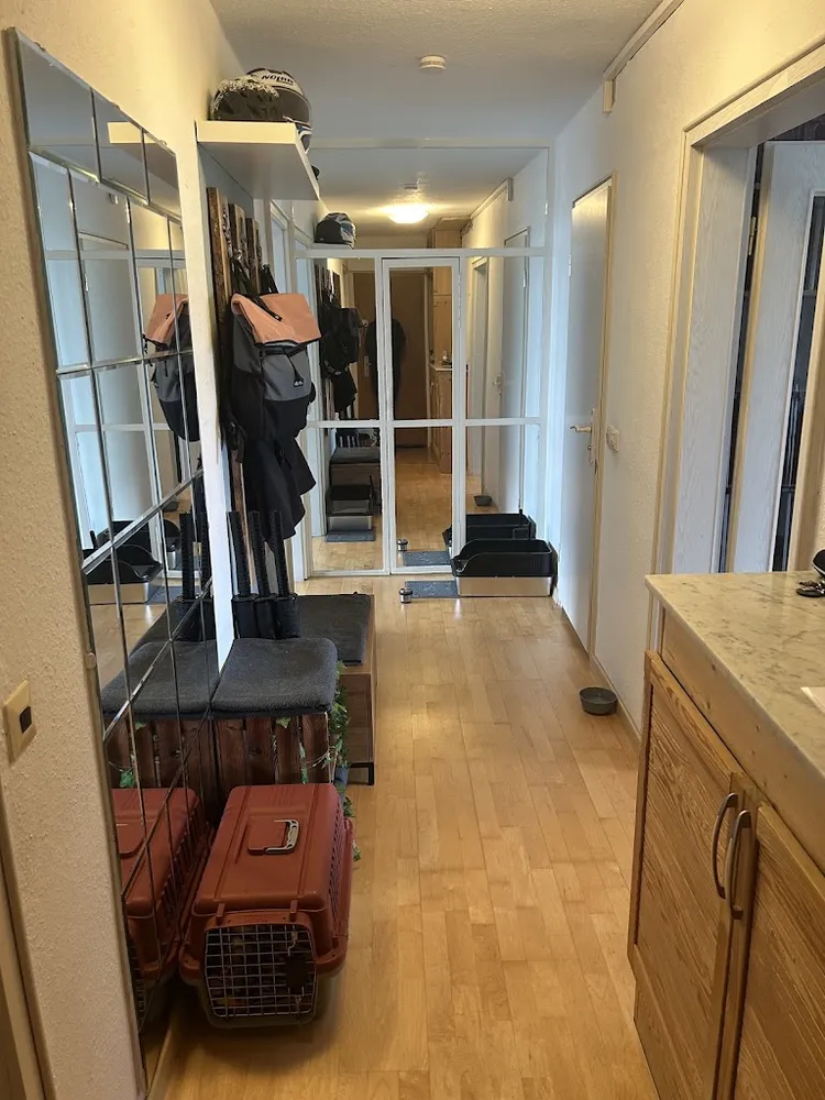 3 Zimmer Wohnung mit 64 m² in Berlin – Bild 5