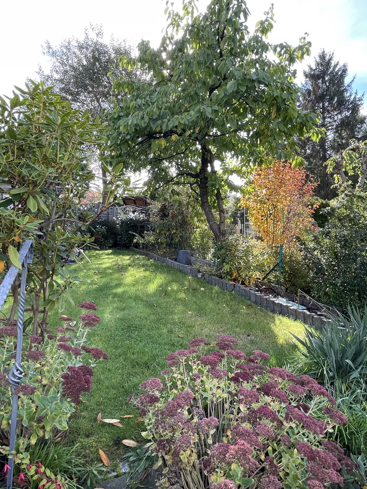 4 Zimmer Haus mit 135 m² in Hilden – Bild 4