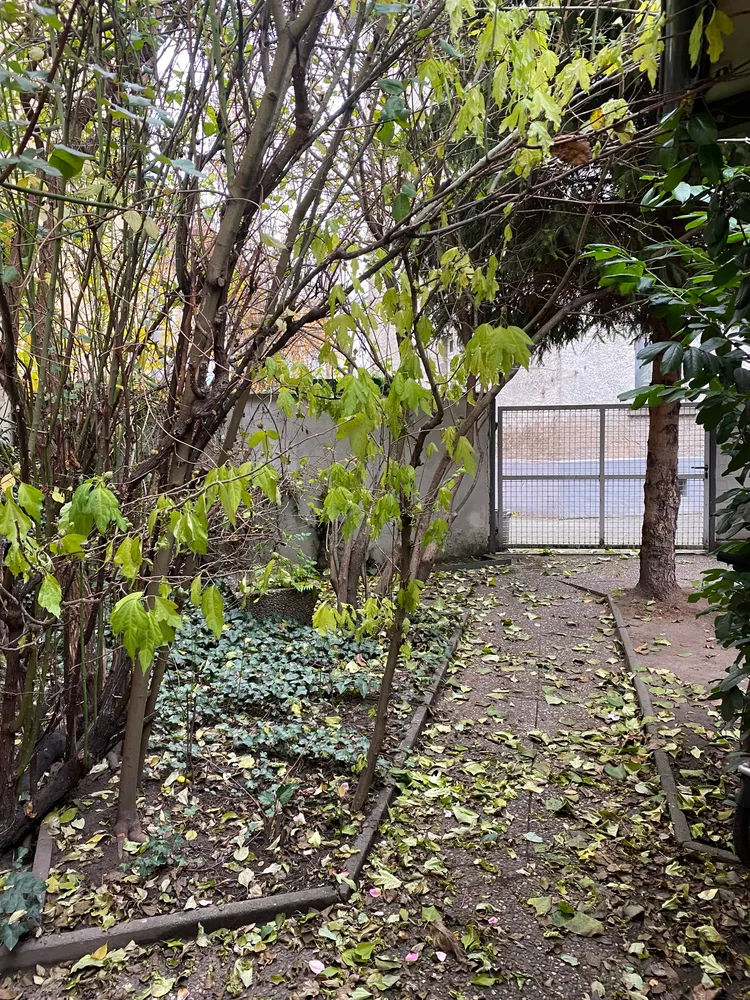 2 Zimmer Wohnung mit 70 m² in Frankfurt am Main – Bild 11