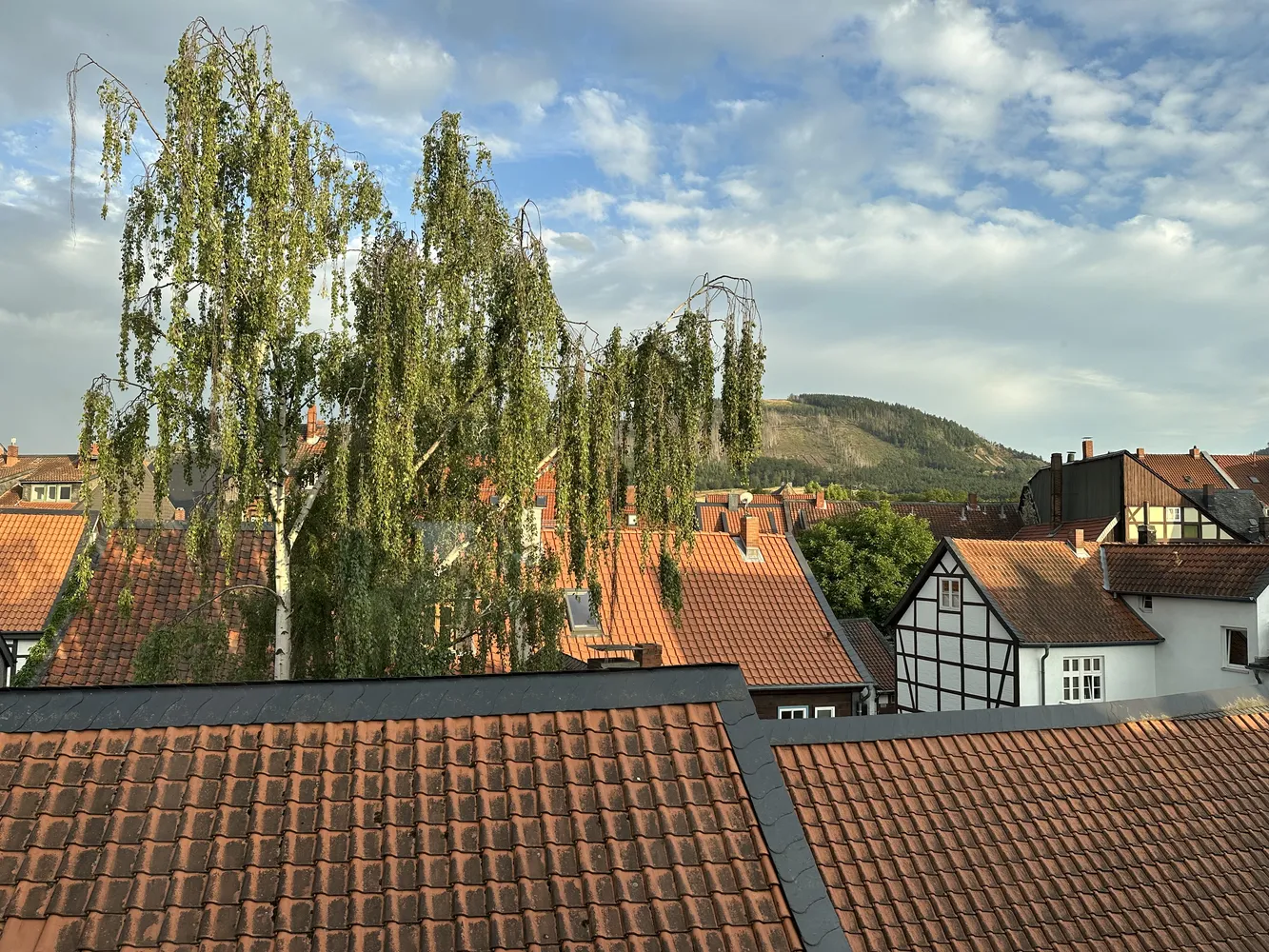 3 Zimmer Wohnung mit 92 m² in Goslar – Bild 4