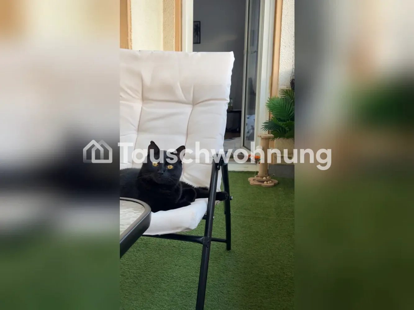 2 room apartment with 65 m² in Leverkusen – Photo 2