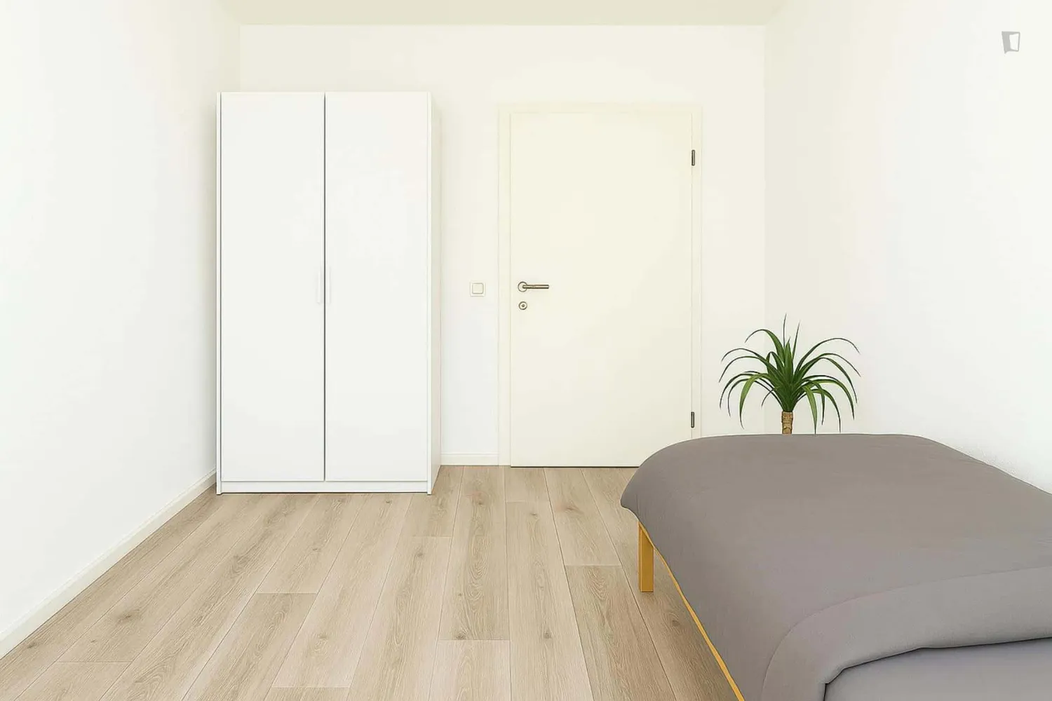 WG-Zimmer in Leipzig – Bild 2
