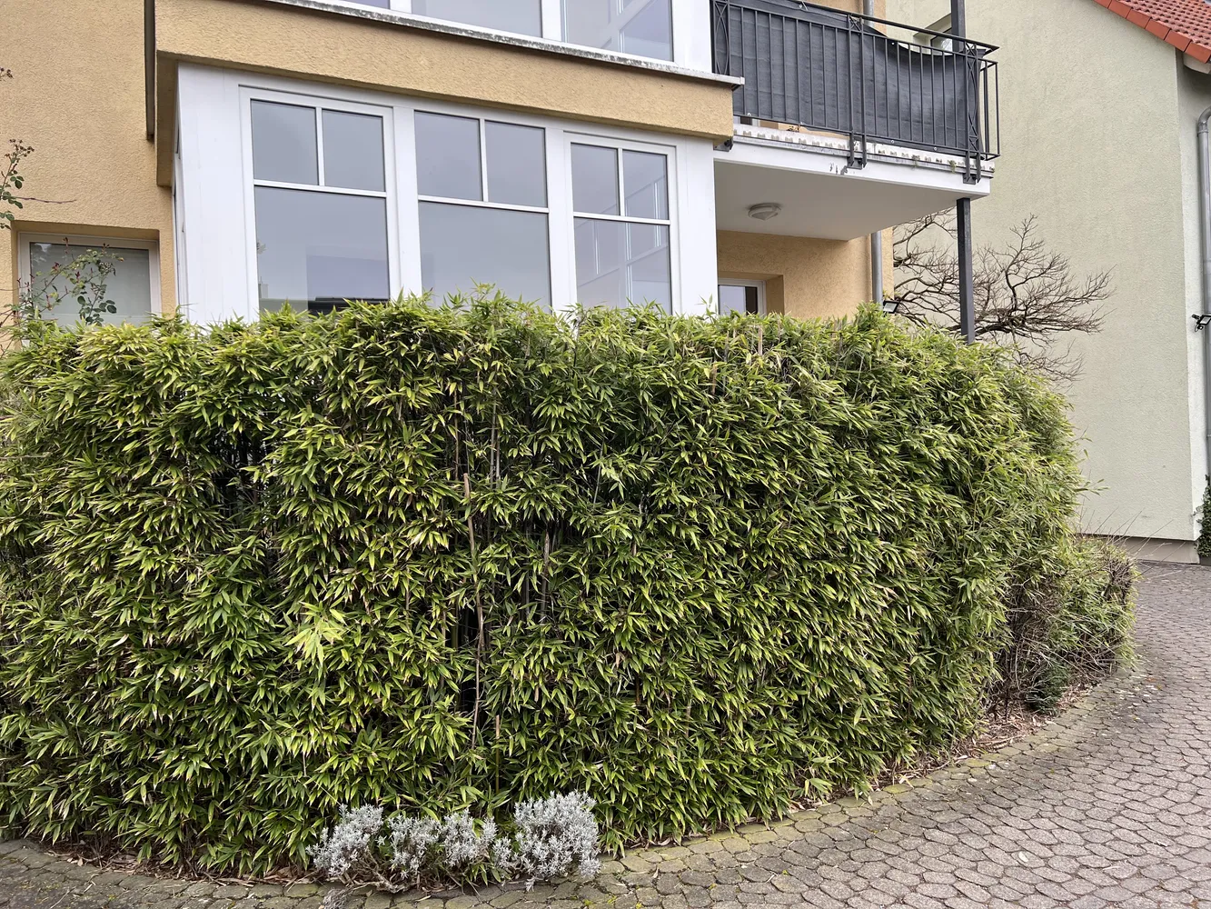 2 room apartment with 59 m² in Neu-Isenburg – Photo 12