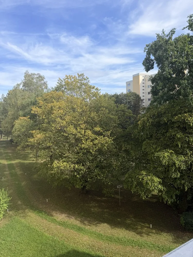 3 Zimmer Wohnung mit 80 m² in München – Bild 11
