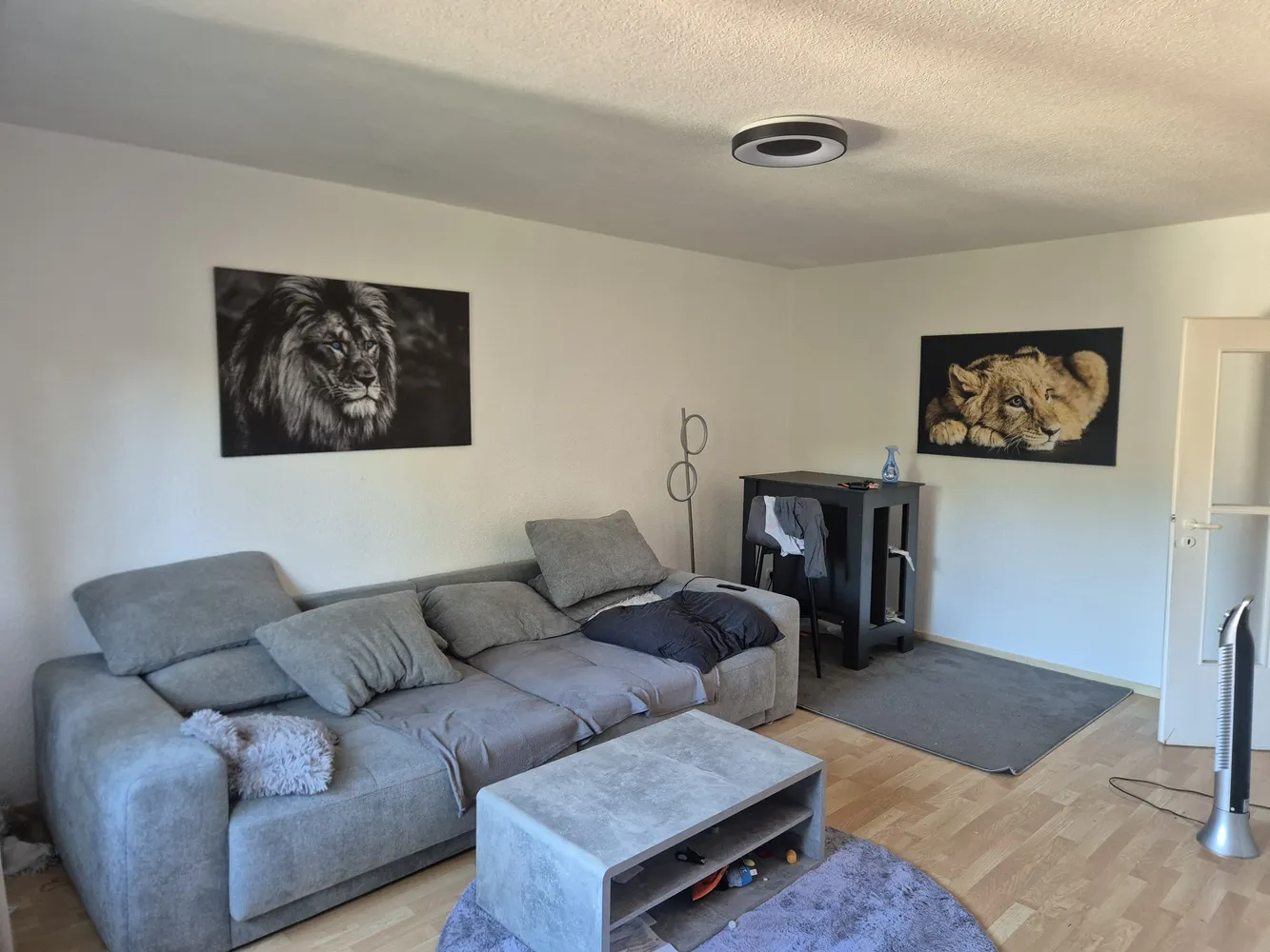 2 Zimmer Wohnung mit 52 m² in Duisburg – Bild 3