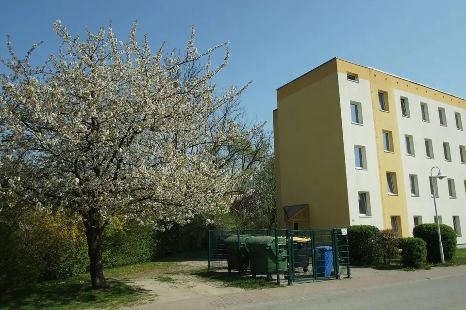 2 Zimmer Wohnung mit 50 m² in Wismar – Bild 6