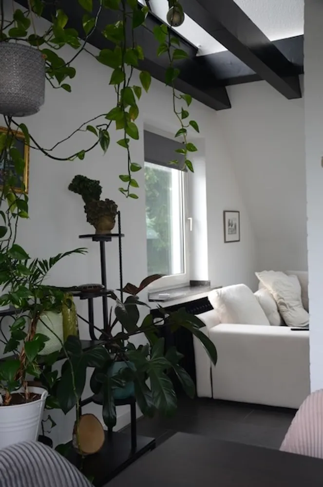 2 Zimmer Wohnung mit 73 m² in Aachen – Bild 8