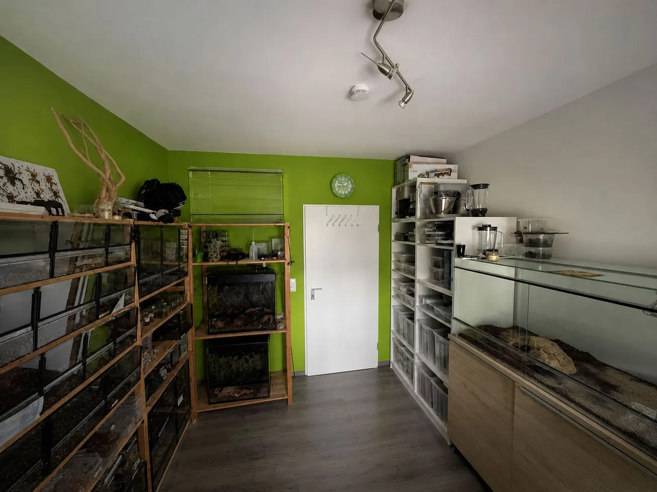 3 Zimmer Wohnung mit 82 m² in Rüsselsheim am Main – Bild 5