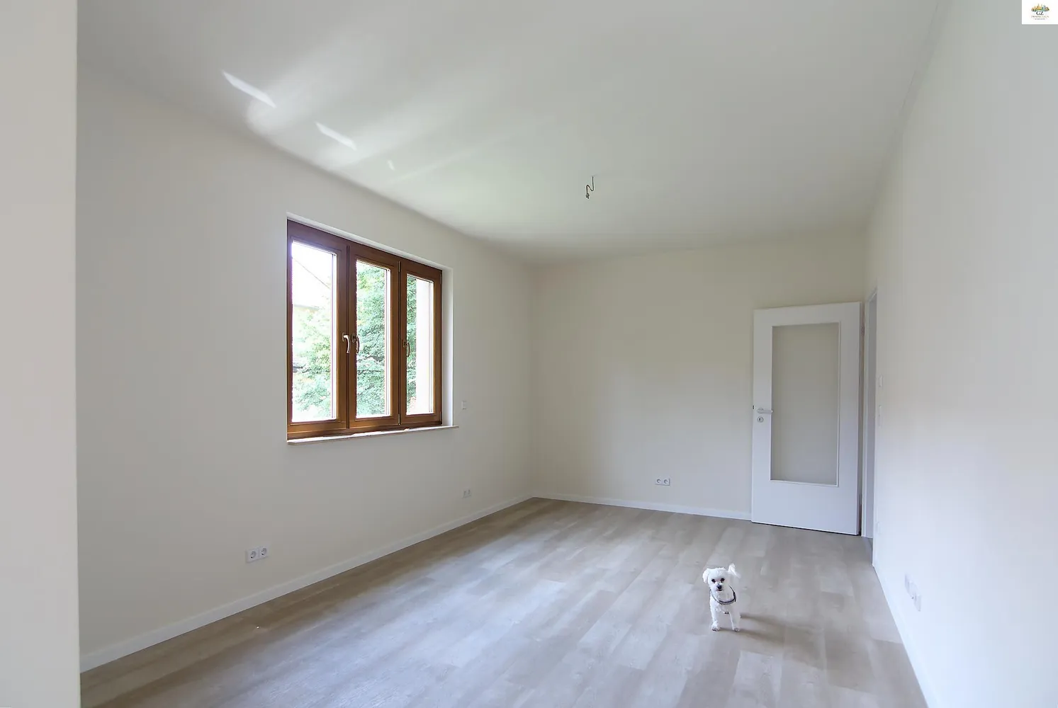 2 Zimmer Wohnung mit 50 m² in Dresden – Bild 6