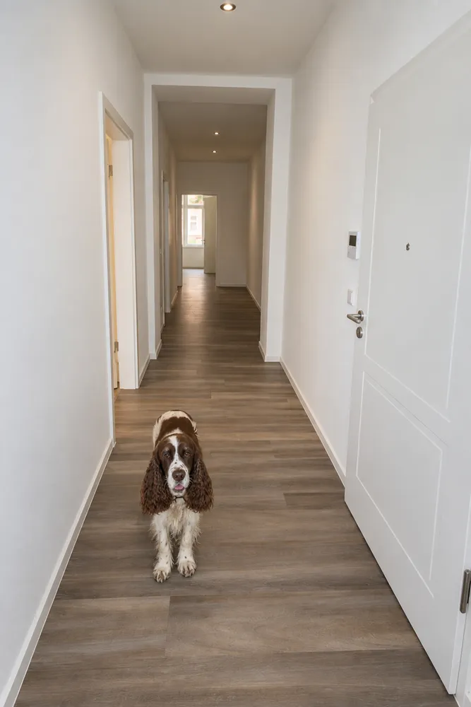 4 room apartment with 97 m² in Chemnitz – Photo 10