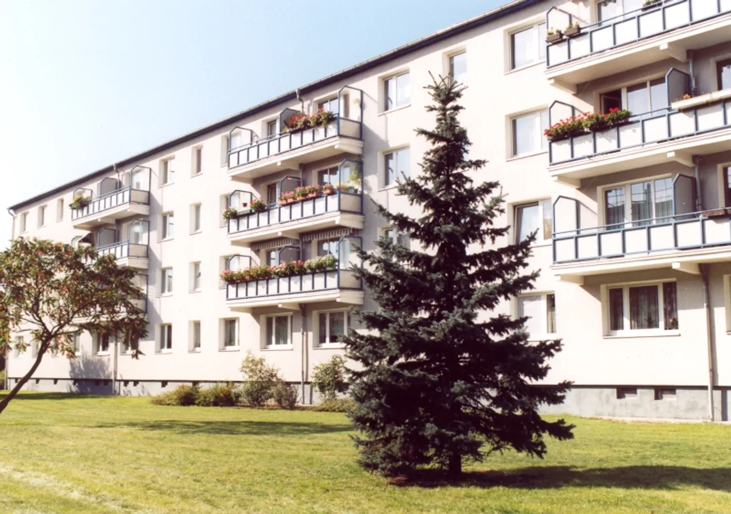 2 Zimmer Wohnung mit 47 m² in Berlin – Bild 4