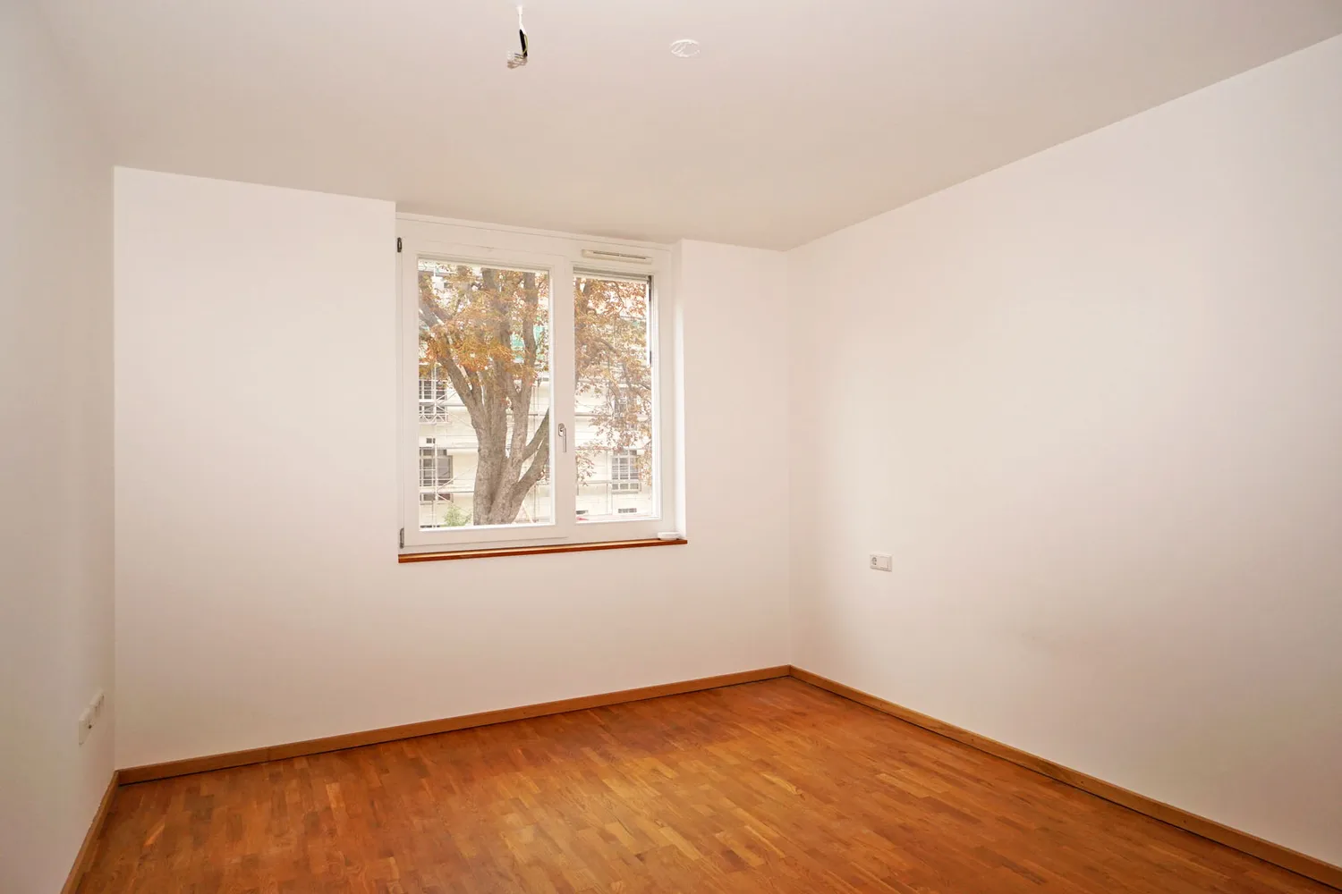 3 room apartment with 78 m² in Dresden – Photo 9