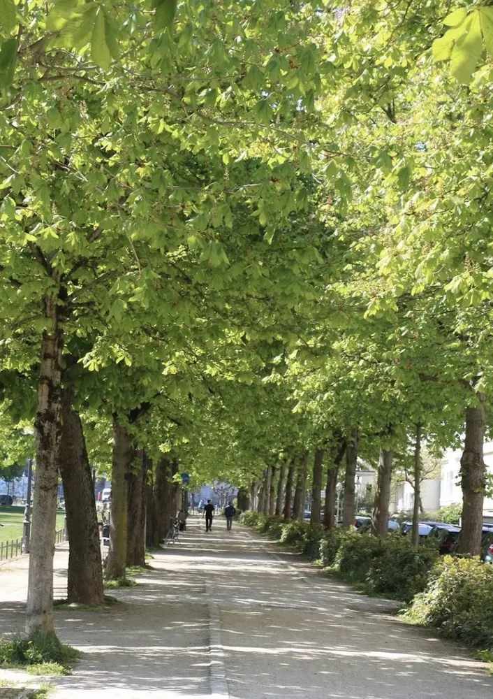 3 Zimmer Wohnung mit 65 m² in Bonn – Bild 2
