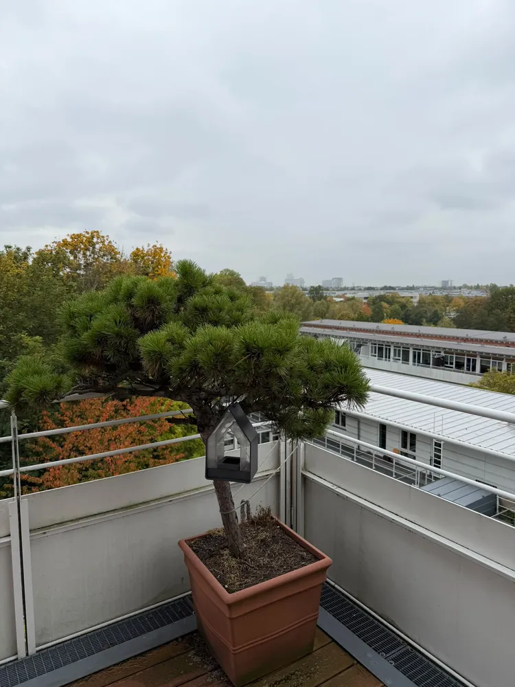2 room apartment with 66 m² in Munich – Photo 5