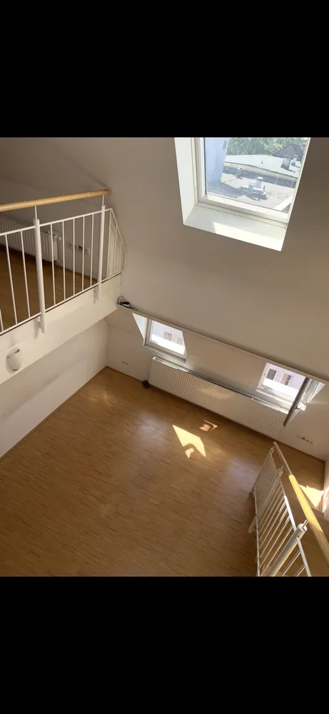 1 Zimmer Wohnung mit 55 m² in Mannheim – Bild 1