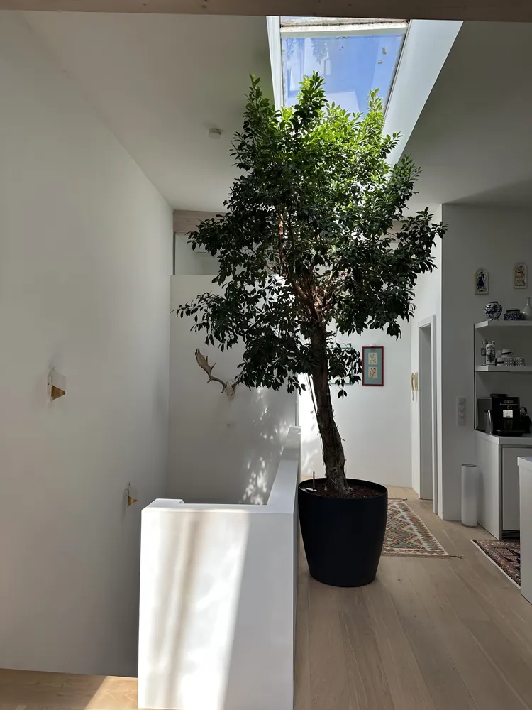 2 Zimmer Wohnung mit 160 m² in München – Bild 10