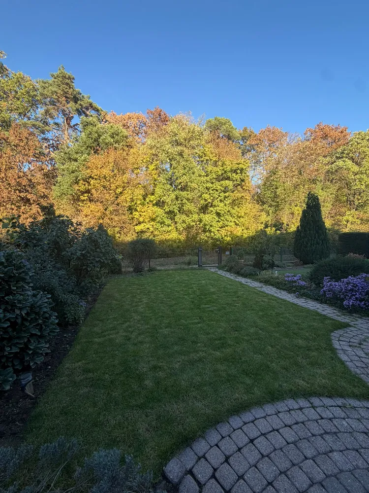 6 room house with 150 m² in Mannheim – Photo 2
