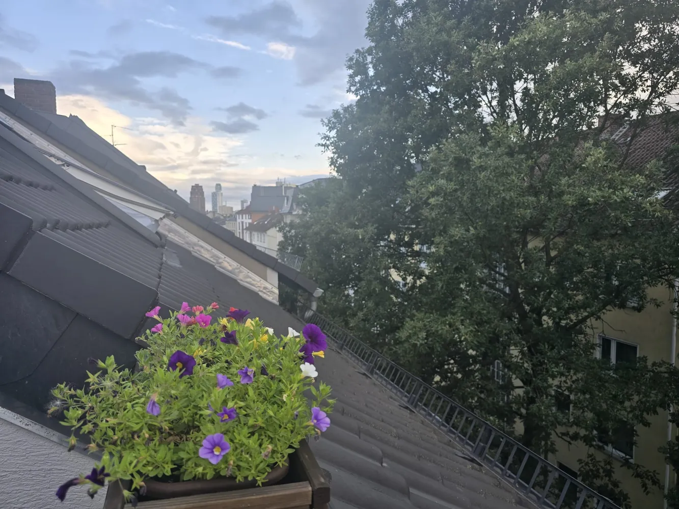 2 Zimmer Wohnung mit 61 m² in Frankfurt am Main – Bild 1
