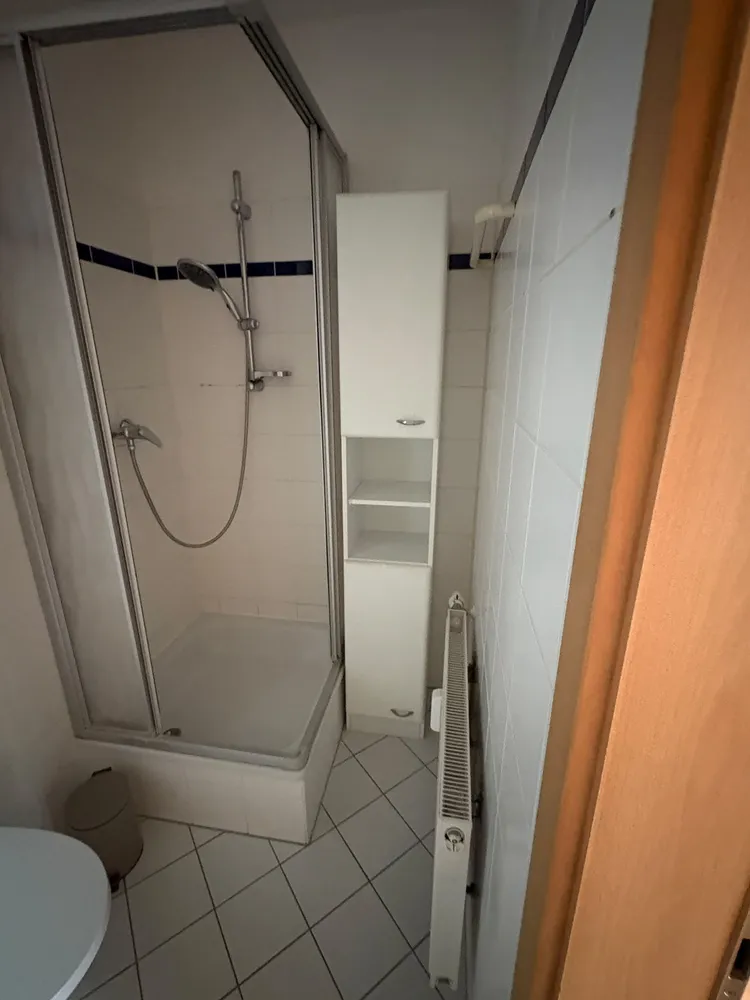1 room apartment with 38 m² in Magdeburg – Photo 4