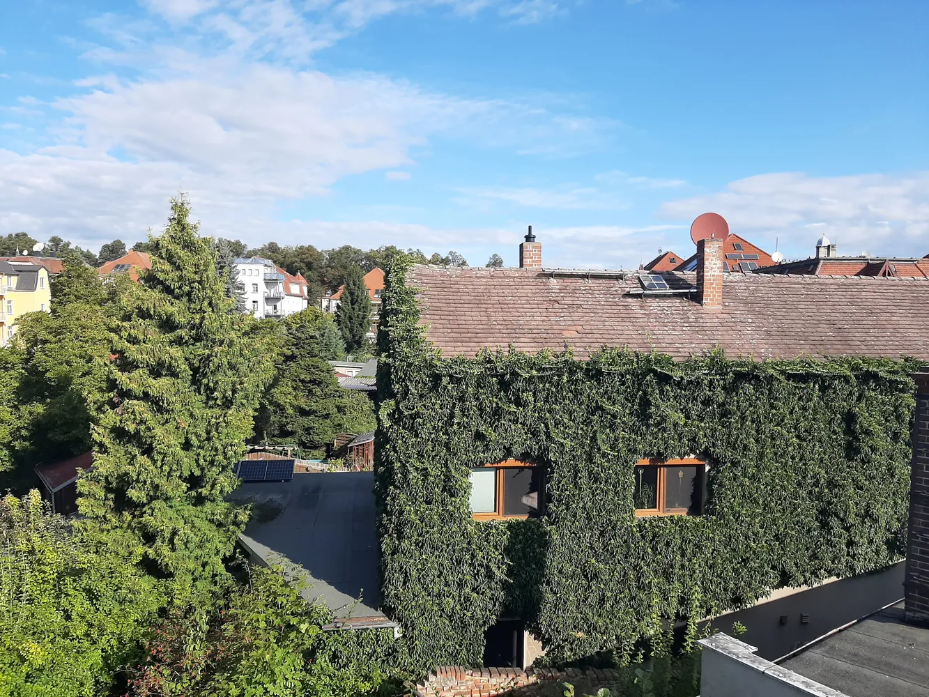 3 Zimmer Wohnung mit 64 m² in Zittau – Bild 2