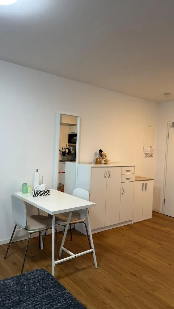 1 room apartment with 35 m² in Frankfurt am Main – Photo 4
