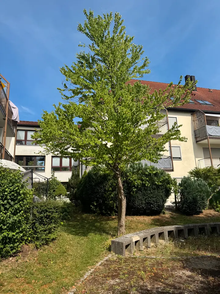 3 Zimmer Wohnung mit 69 m² in Augsburg – Bild 7