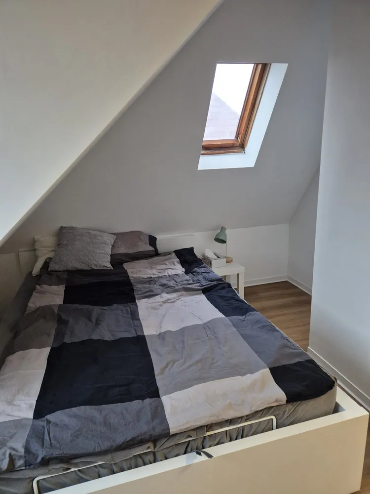 2 Zimmer Wohnung mit 30 m² in Karlsruhe – Bild 2