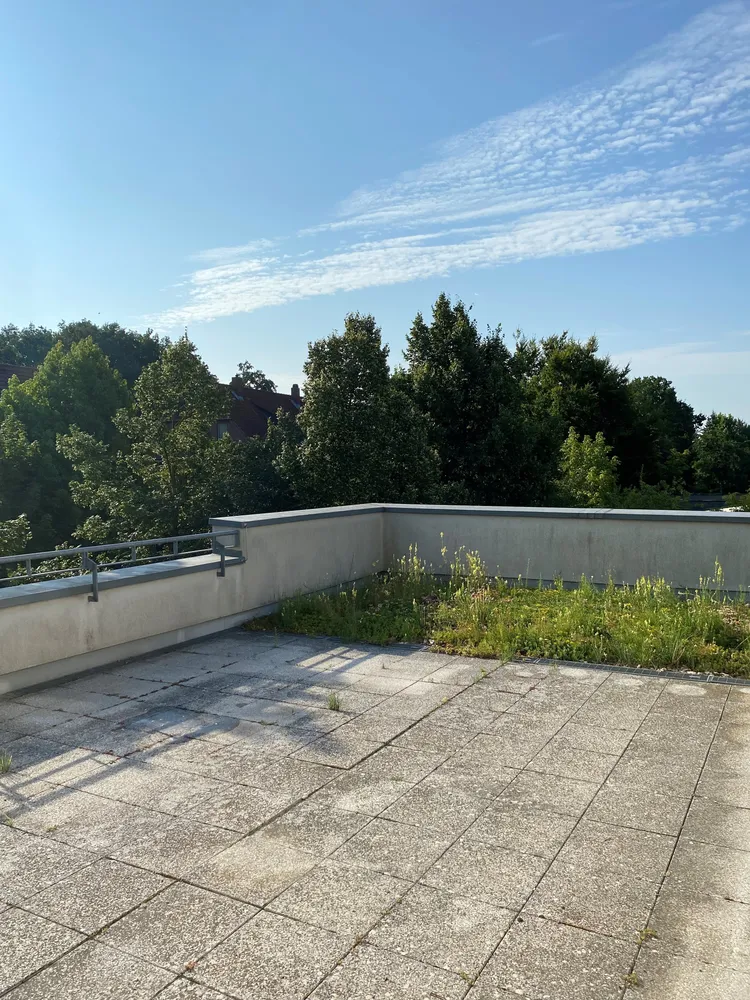 3 Zimmer Wohnung mit 146 m² in Braunschweig – Bild 12