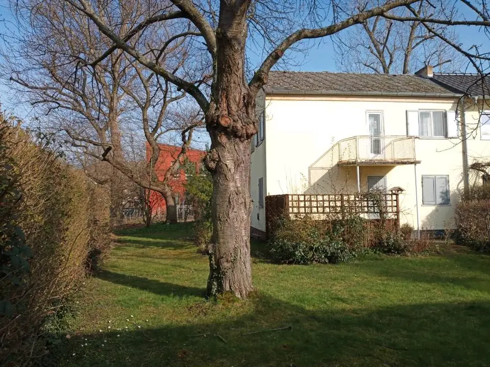 WG-Zimmer mit 60 m² in Frankfurt am Main – Bild 1