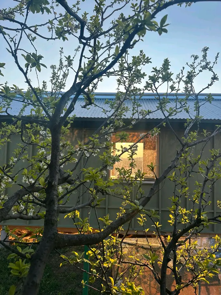 3 Zimmer Haus mit 100 m² in Velbert – Bild 3