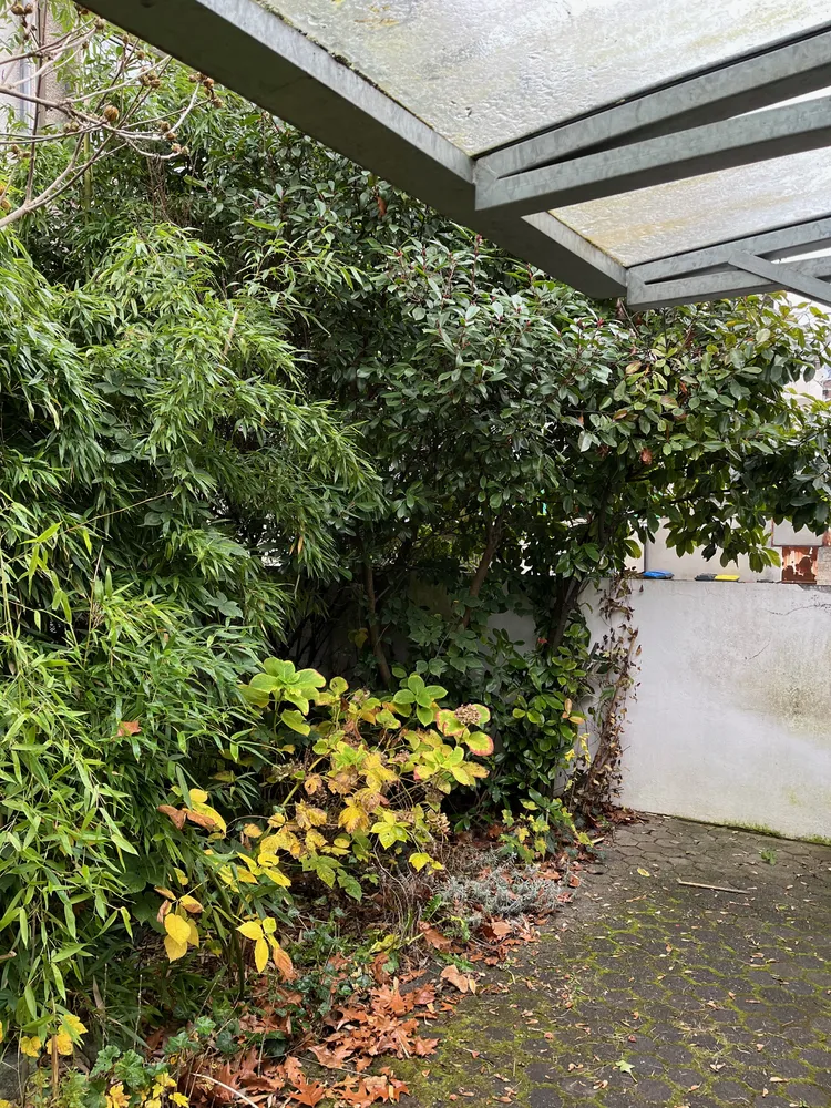 2 room apartment with 45 m² in Cologne – Photo 9