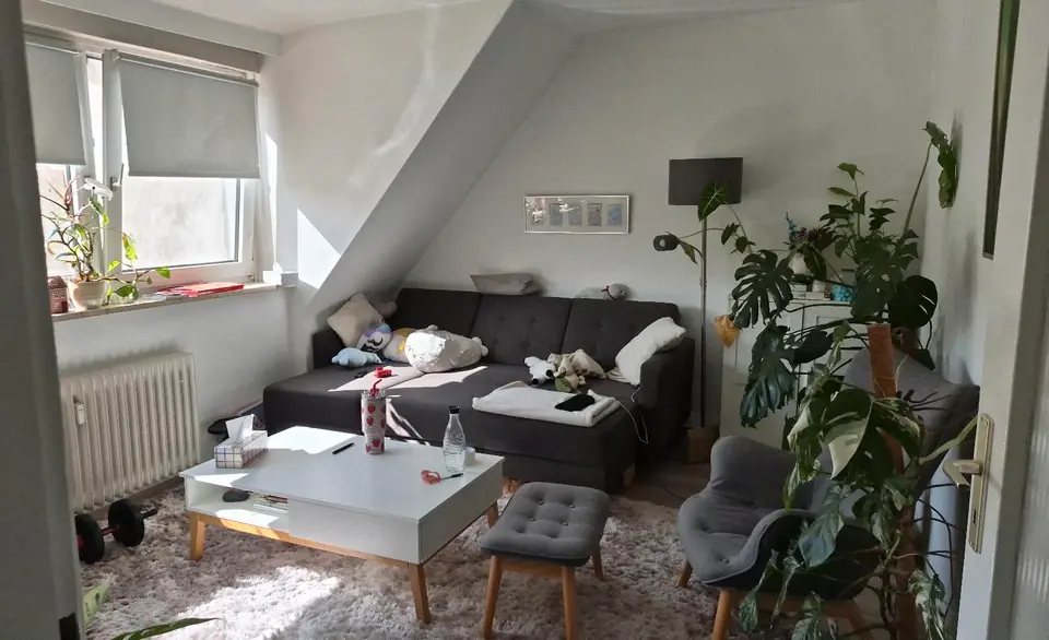 3 Zimmer Wohnung mit 65 m² in Braunschweig – Bild 2