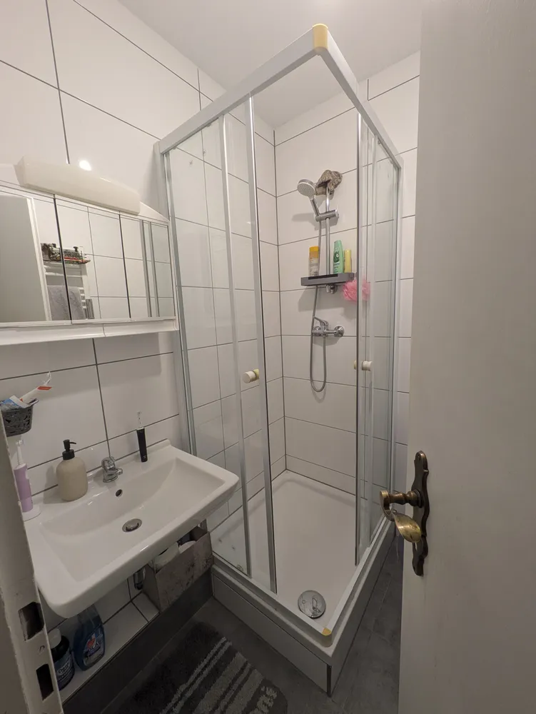 3 Zimmer Wohnung mit 65 m² in Ludwigshafen am Rhein – Bild 7